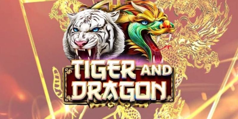 Tính điểm cược theo phương pháp sát nút khi chơi Dragon and Tiger 